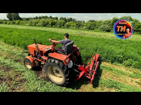 Видео: Повернув назад собі Т25🥹😎Косимо все що є косарка 1.35м Tad-Len💪