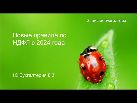 Видео: Новые сроки подачи уведомлений и уплаты НДФЛ в 2024 году
