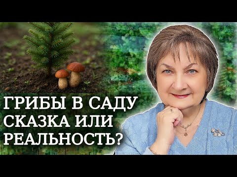 Видео: Можно ли вырастить грибы в саду? Правда и мифы