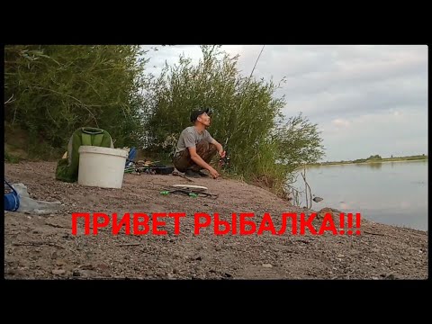 Видео: Рыбалка. Нура без рыбы не оставит.#рыбалка #караганда #казахстан