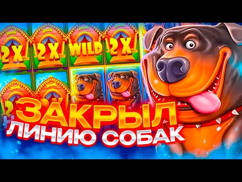 Видео: ТАКОЕ БЫВАЕТ РАЗ В ЖИЗНИ! ЗАКРЫЛ ОДНИМ ВРАЩЕНИЕ ВСЕ ВИДЛЫ И ЗАНЕС ******Р в THE DOG HOUSE MEGAWAYS!