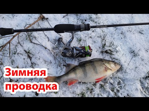 Видео: ЛОВЛЯ ОКУНЯ на микроджиг И ДЖИГ РИГ