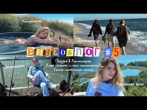 Видео: ВИДЕОБЛОГ #5✈️  | Культурный шок | Лучшие места Калининграда, Зеленоградска, Светлогорска