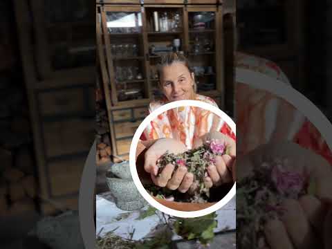 Видео: 26 жовтня 2025 р.