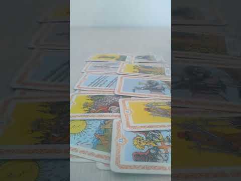 Видео: Жігіттің алдағы уақыттағы жоспары,ойы қандай⁉️