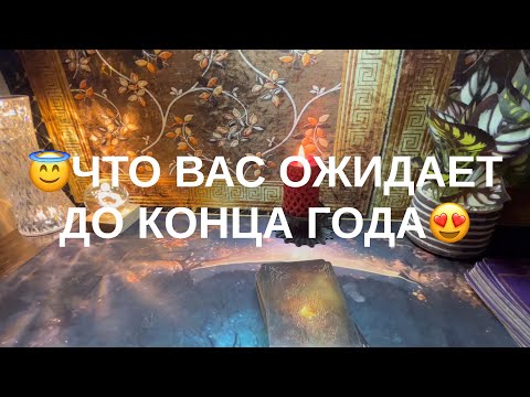 Видео: 9 ноября 2025 г.
