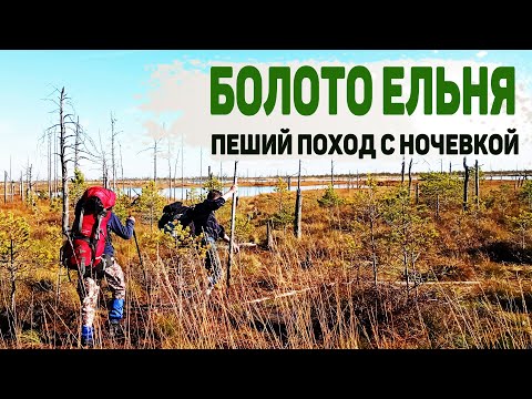 Видео: Болото Ельня в Беларуси. Пеший поход с ночевкой в палатке. По болоту без сапог