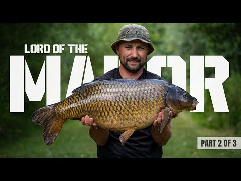 Видео: В поисках 60-фунтового полномасштабного британского верблюда. Часть вторая