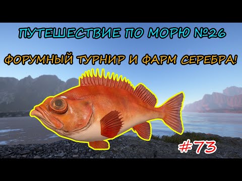 Видео: ПУТЕШЕСТВИЕ ПО МОРЮ #26 - ФОРУМНЫЙ ТУРНИР И ФАРМ СЕРЕБРА НА НОВУЮ СБОРКУ + РОЗЫГРЫШИ НА TROVO!