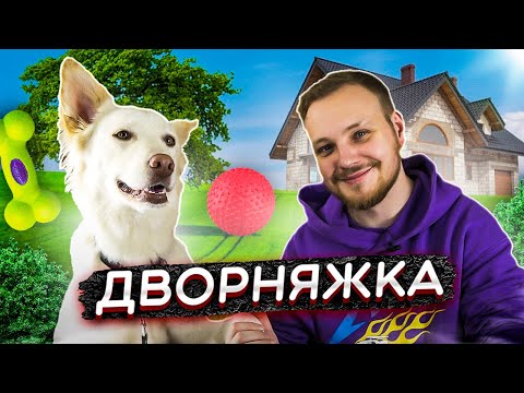 Видео: ЖИЗНЬ С ДВОРНЯЖКОЙ | ПРОВЕРКА МИФОВ |  И ТАК ЛИ ПЛОХИ ДВОРНЯЖКИ КАК ПРО НИХ ОТЗЫВАЮТСЯ