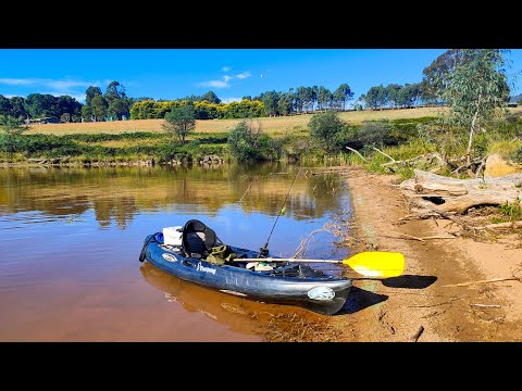 Видео: Ловля муррейской трески и желтобрюха на приманку в озере Ниллахкути
