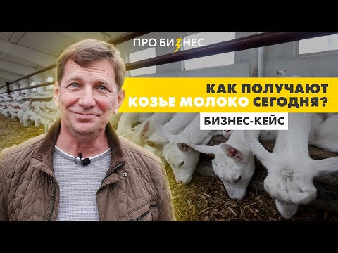 Видео: Современное козье фермерское хозяйство. Как все устроено?