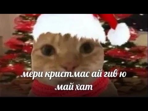 Видео: выбивайте жажду🐦‍⬛