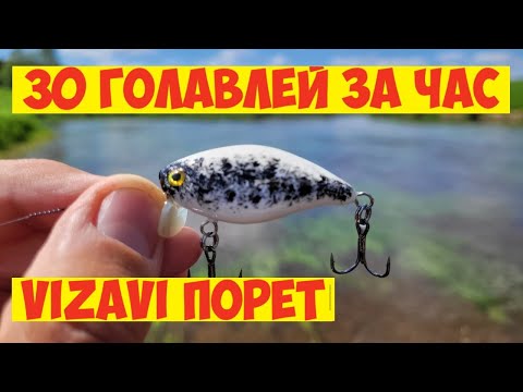 Видео: ГОЛАВЛЬ КЛЮЕТ НА КАЖДОМ ЗАБРОСЕ! ЛЮТАЯ РЫБАЛКА НА ГОЛАВЛЯ!