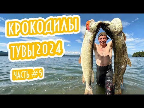 Видео: 🐊 ЩУКА НА ПРИЦЕЛЕ — КАЙФ НА ПРЕДЕЛЕ! 🎯🐟. КРОКОДИЛЫ ТУВЫ 2024 — ЧАСТЬ 5