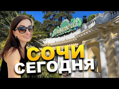 Видео: #СОЧИ СЕГОДНЯ ☀️ ПАРК ДЕНДРАРИЙ СОЧИ  #дендрарий