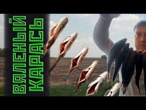 Видео: Вяленый карась. Простой и обалденный рецепт приготовления вяленой рыбы.