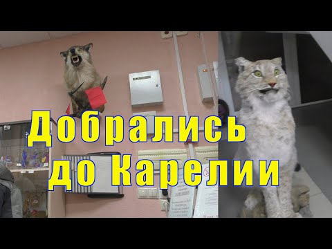 Видео: ОБРАТНО В МУРМАНСК /ДВА ДНЯ ПУТИ/  20 и 21  ноября 2022