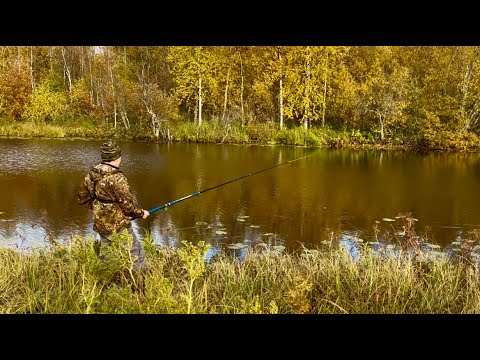 Видео: Как на лесное озеро на рыбалку ходили