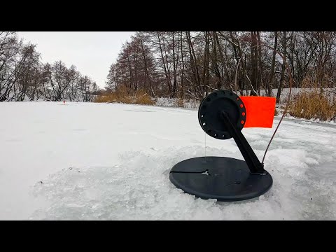 Видео: ОПАСНЫЙ ПЕРВЫЙ ЛЕД НА РЕКЕ 2024-25! ЛЕСКА ЗВЕНИТ В РУКАХ ОТ НЕЁ!! ЗИМНЯЯ ЛОВЛЯ ЩУКИ НА ЖЕРЛИЦЫ