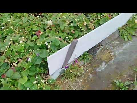 Видео: Обзор на сад моей бабушки 🧓