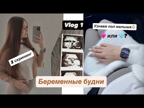 Видео: 📷Vlog 1| Беременные будни🤰🏼| Кто у нас будет🩷🩵?