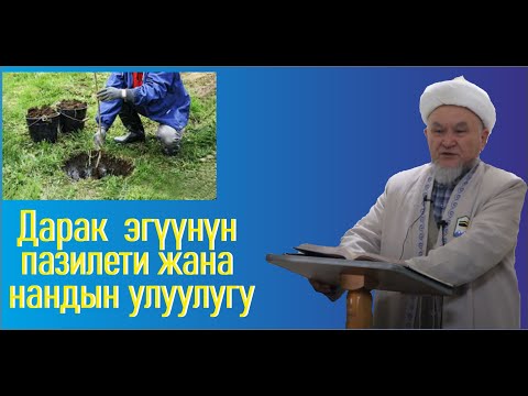 Видео: молдо Надыр устаз.  Дарак  эгүүнүн  пазилети жана  нандын улуулугу.  Даават кыргызча. Баян.