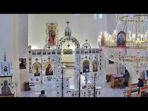 Видео: Трансляція