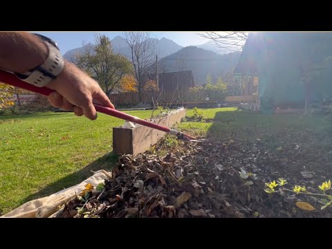 Видео: 10 ноября 2025 Готовлю двор к зимнему сезону