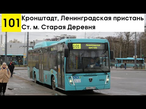 Видео: Автобус 101 "Ст. м. "Старая Деревня" - Кронштадт, Ленинградская пристань"
