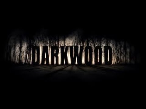 Видео: Darkwood №13 - финал