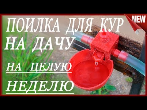 Видео: Автономная поилка для кур, на неделю!!! Как сделать поилку для птиц. Чашечная поилка.
