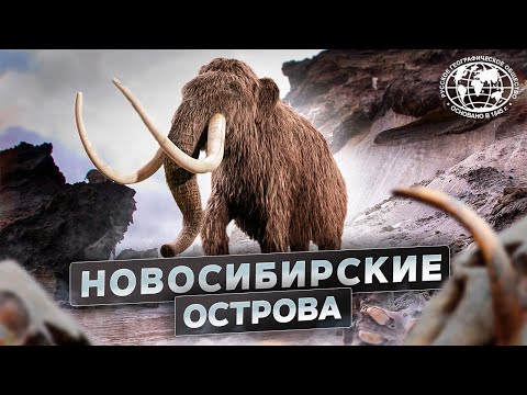 Видео: Новосибирские острова. Загадки земли мамонта | @rgo_films