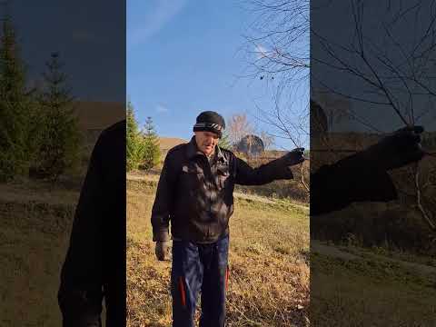 Видео: До слёз обидно,  что в деревне школа,  дом культуры,  детский сад и всё остальное тоже закрыли.