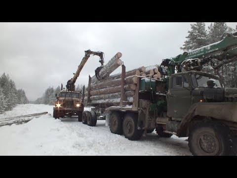 Видео: Сутки из жизни водителя Урал-лесовоз