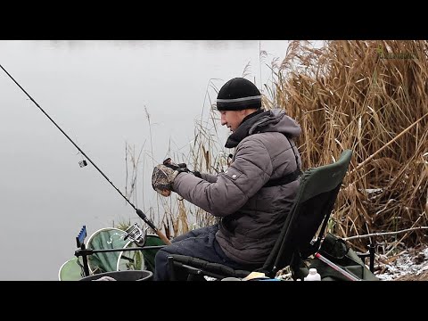 Видео: Ловля на Фидер Зимой. Я его Уговорил!
