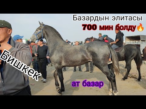 Видео: 12-ОКТЯБРЬ ЭЛИТА ЖЫЛКЫЛАР САТЫЛДЫ 700 МИН ДЕП БИШКЕК СОКУЛУК ЖЫЛКЫ БАЗАР 