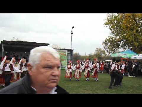 Видео: моменти от празника на Дъбенското зеле 08.11.2025