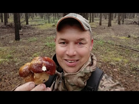 Видео: 22 июня 2024 г.