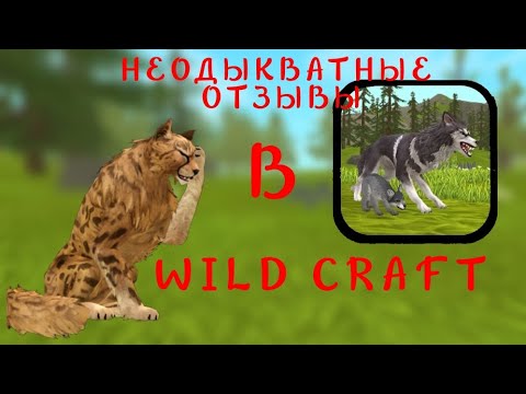 Видео: НЕОДЫКВАТНЫЕ ОТЗЫВЫ В WILDCRAFT