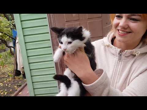 Видео: В гостях у Сережи и Наташи..семейный концерт