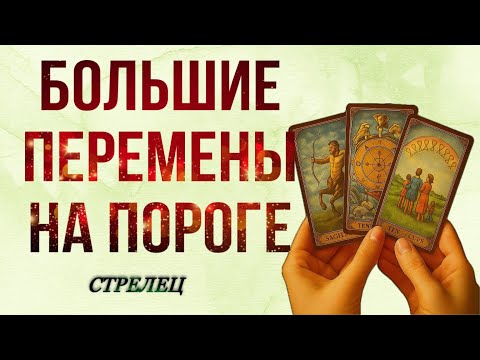 Видео: СТРЕЛЕЦ, 🍂 НОЯБРЬ 🍂, НА ПОРОГЕ ☀️💰БОЛЬШИЕ ПЕРЕМЕНЫ, таро, гороскоп,прогноз,стрелец ноябрь таро,