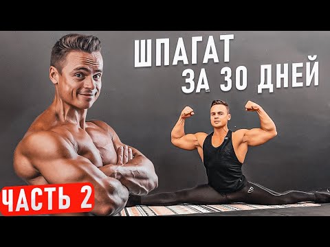 Видео: Как СЕСТЬ НА ШПАГАТ за 30 дней? Часть 2