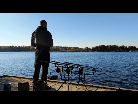 Видео: Ловля коропа в жовтні, перший досвід. Ловля з корабликом.