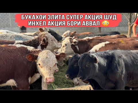 Видео: Супер АКЦИЯ 