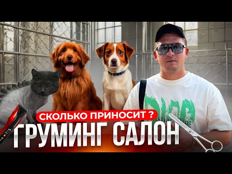 Видео: Груминг салон. Бизнес на стрижке собак. Грумер