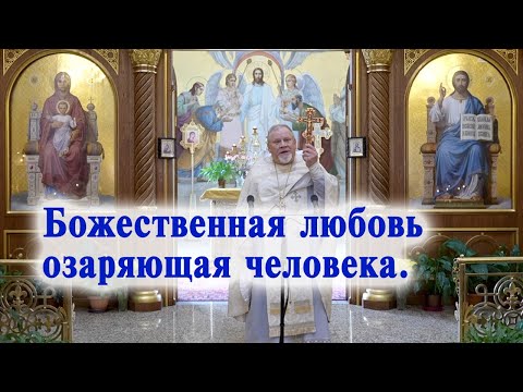 Видео: Божественная любовь озаряющая человека. Проповедь священника Георгия Полякова.