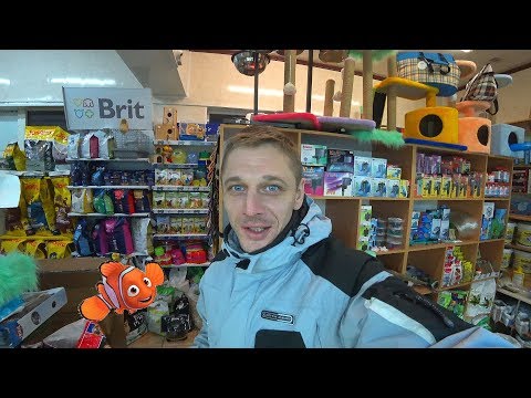 Видео: ПРИЕХАЛА НОВАЯ РЫБКА! РАСПАКОВКА!!!