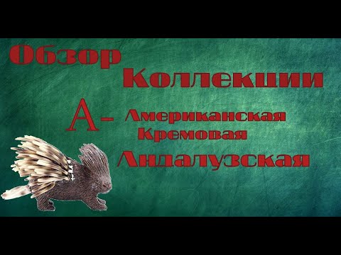 Видео: Обзор коллекции.А- Американская кремовая(Collecta), андалузская лошадь( Collecta, Schleich)Паддоки.