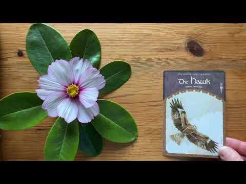 Видео: Ваша Новая ЖИЗНЬ после страданий и потерь! Моменты с которых начнутся перемены к лучшему ! #колена